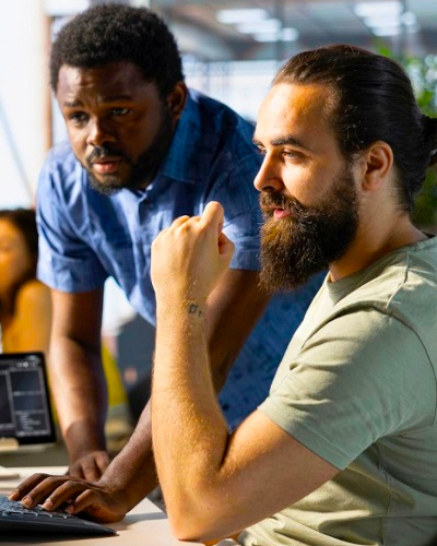 Software Engineers