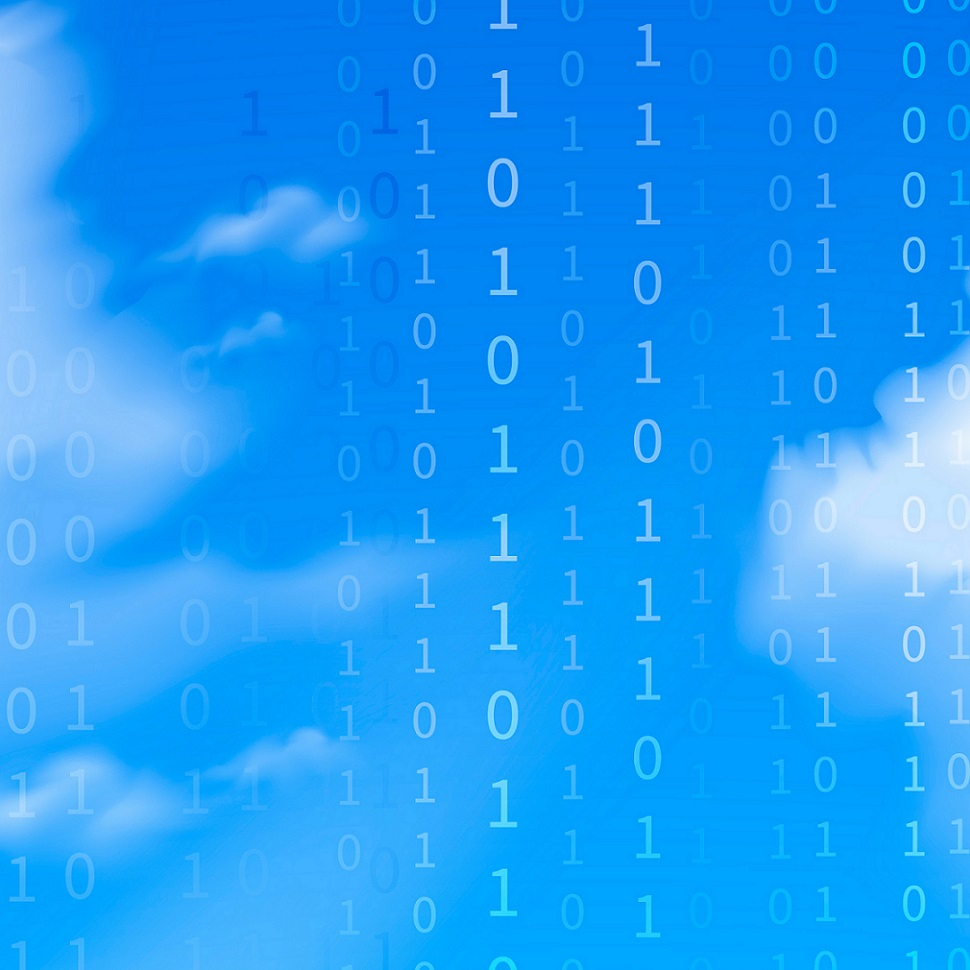 Server Management